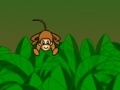 Gioco Banana Monkeys