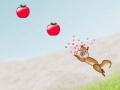 Gioco Squirrel shooting