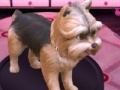 Gioco Barbie: Groom and Glam Pups