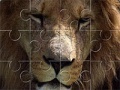 Gioco Animals Jigsaw: Lion