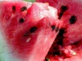 Gioco Watermelon