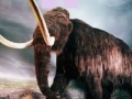Gioco Puzzle - Mammoth