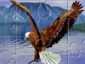 Gioco Eagle