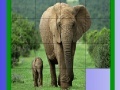 Gioco Mother and tiny elephant slide puzzle