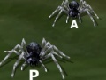 Gioco Tarantuloid Typing Terror