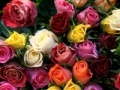 Gioco Valentines Day