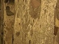 Gioco Micro Bunker Escape