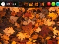 Gioco Autumn Hidden Images