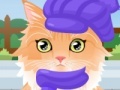 Gioco Kitty Groomer