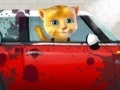 Gioco Ginger car wash