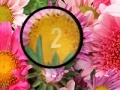 Gioco Flowers 3 Hidden Numbers