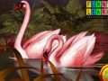 Gioco Jigsaw red swans