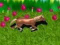 Gioco Horse on the Loose