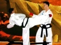 Gioco Tae Kwon-Do Competition