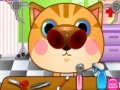 Gioco Doctor Cat Nose