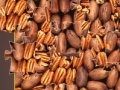 Gioco Pecan Mosaic Jigsaw