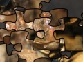 Gioco Puzzle of the American toad