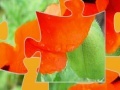 Gioco Oriental Poppy Jigsaw