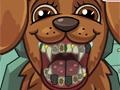 Gioco Pet Crazy Dentist
