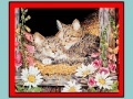 Gioco Art Kittens Jigsaw 2