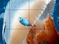 Gioco Mosaic jellyfish slide puzzle