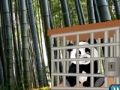 Gioco Wow escape: The tiny panda