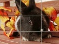 Gioco Puzzles Grey Rabbits