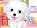 Gioco Fluffy puppy pet: Spa and care