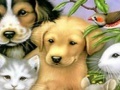 Gioco Cute Animals Align Image