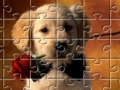 Gioco Puzzles Little Puppy