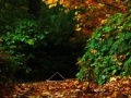 Gioco October escape
