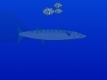 Gioco Barracuda attack