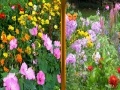 Gioco Flowers Similarities