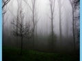 Gioco Morning mist jigsaw