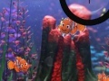 Gioco Finding Nemo hide and seek