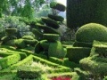 Gioco Hidden Target-Garden