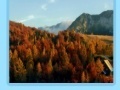 Gioco Slovenia jigsaw