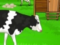 Gioco Howell Farm House Escape