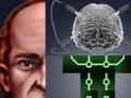 Gioco Berts Brain