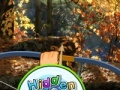 Gioco Hidden Autumn Butterfly