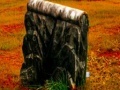 Gioco Fall graveyard escape