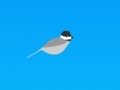 Gioco Trampoline chickadee