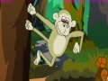 Gioco Monkey Hidde Game