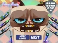 Gioco Grumpy cat. Dental care