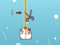 Gioco A pig in a poke