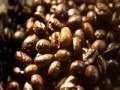 Gioco Coffee beans slider