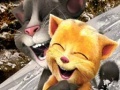 Gioco Talking Tom and Ginger Sledging