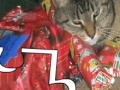 Gioco Jigsaw: Christmas Cat