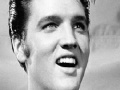 Gioco Elvis Presley Memory