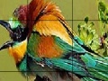 Gioco Two Amazing Bird Puzzle